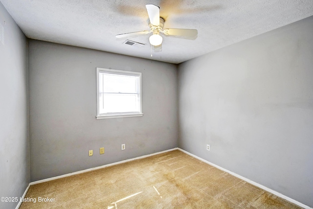 6204 Hackberry Way, Louisville, KY 40229 - photo 19