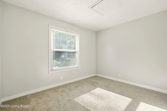 4606 Haeringdon Dr, Louisville, KY 40299 - photo 18