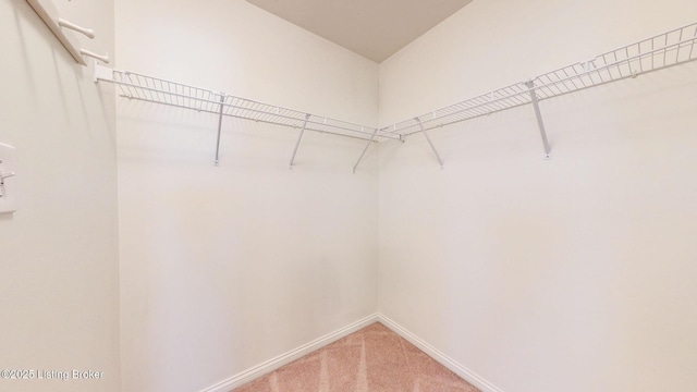 3418 Stony Farm Dr, Louisville, KY 40299 - photo 22