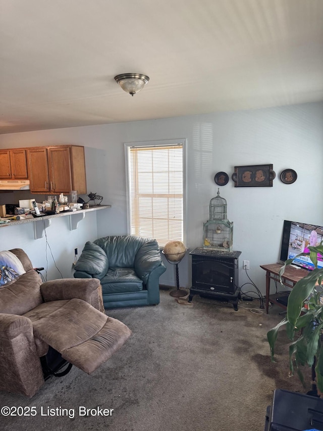 918 S Hancock St, Louisville, KY 40203 - photo 5
