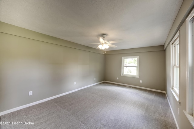 3200 Donald Dr, Louisville, KY 40216 - photo 15