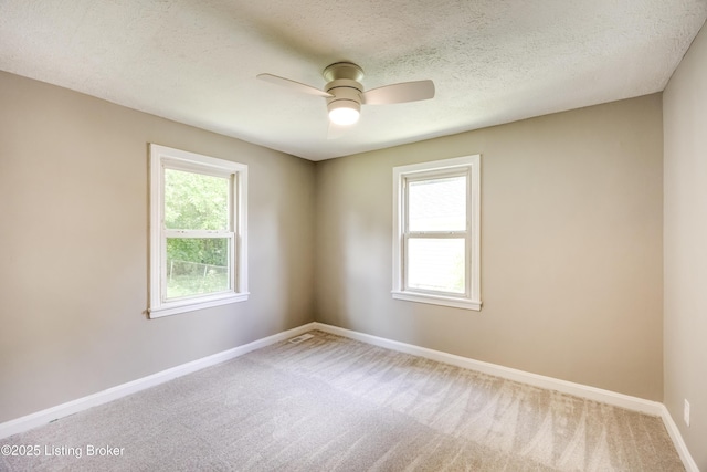 3200 Donald Dr, Louisville, KY 40216 - photo 42