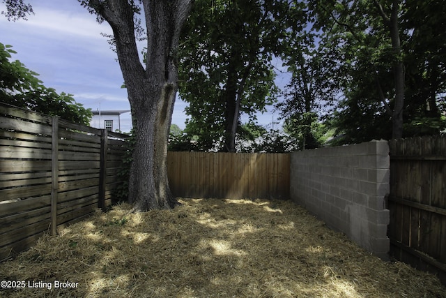 719 Lampton St, Louisville, KY 40203 - photo 36