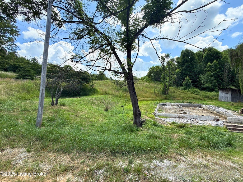 311 Combs Cemetery Rd, Ricetown, KY 41364 - photo 2
