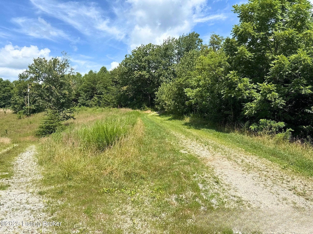 311 Combs Cemetery Rd, Ricetown, KY 41364 - photo 4