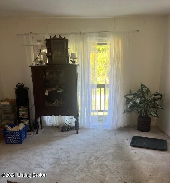 728 Zorn Ave Unit 11, Louisville, KY 40206 - photo 16