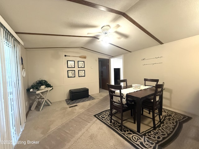 51 Mary Ann Ln, Falls Of Rough, KY 40119 - photo 17