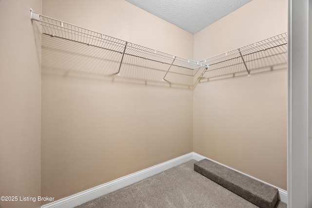 5815 Shepherd Crossing Dr, Louisville, KY 40219 - photo 24