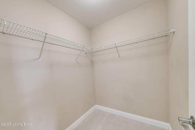 4802 Deer Meadow Ln, La Grange, KY 40031 - photo 43