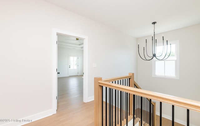 11726 Sweetflag Cir, Prospect, KY 40059 - photo 55