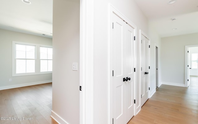 11726 Sweetflag Cir, Prospect, KY 40059 - photo 87