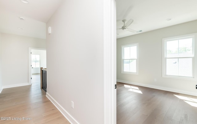 11726 Sweetflag Cir, Prospect, KY 40059 - photo 92