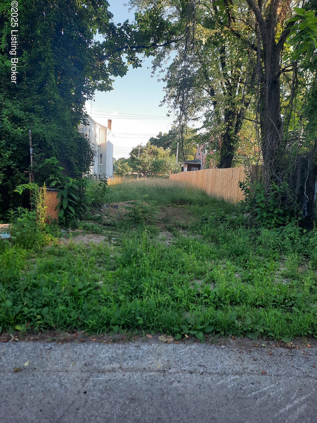 2407 W Broadway, Louisville, KY 40211 - photo 1