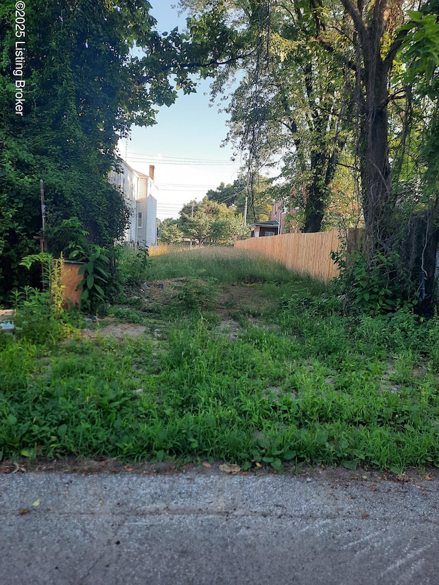2407 W Broadway, Louisville, KY 40211 - photo 1