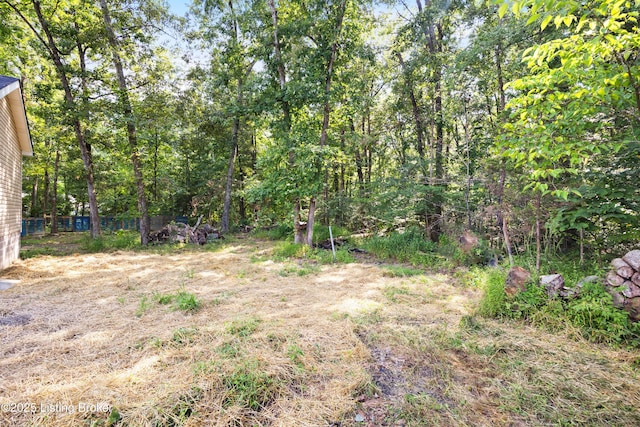 569 Pitts Point Rd, Shepherdsville, KY 40165 - photo 31