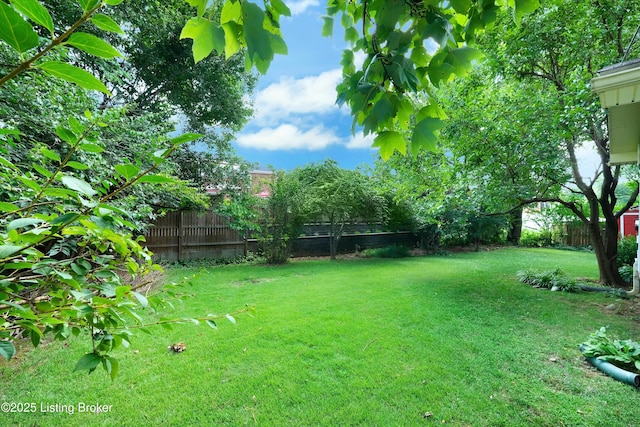 2413 Mammoth Way, Louisville, KY 40299 - photo 33