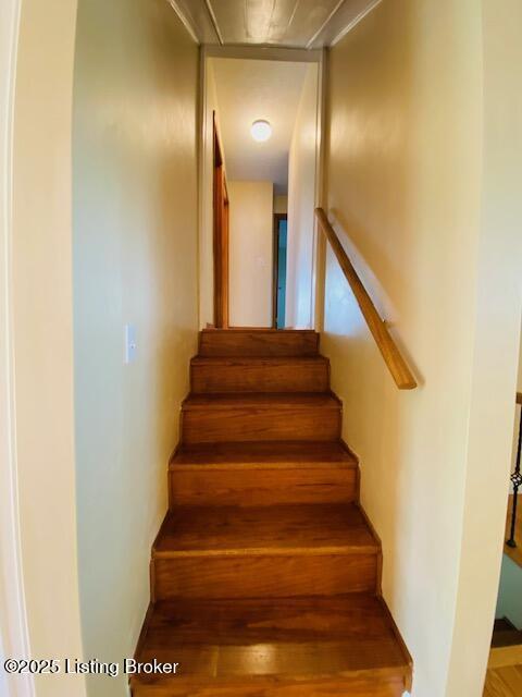606 Nally Ct, Bardstown, KY 40004 - photo 15