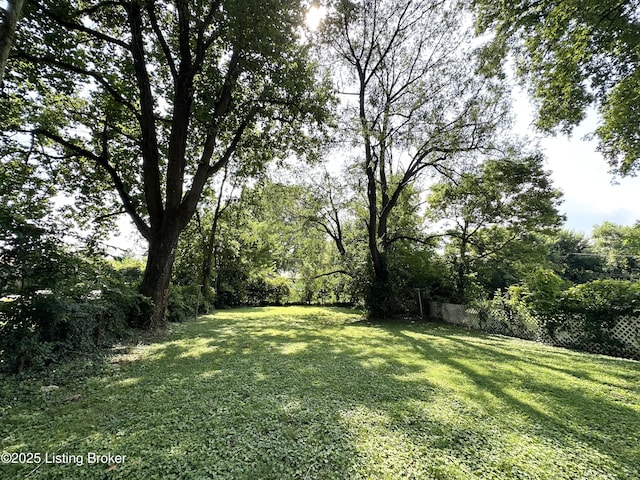 725 Moore Ave, Bardstown, KY 40004 - photo 12