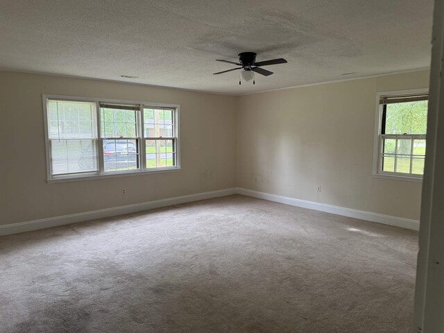  - empty room featuring carpet flooring, a textured ceiling, and ceiling fan