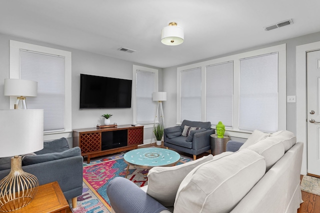 living room with wood-type flooring