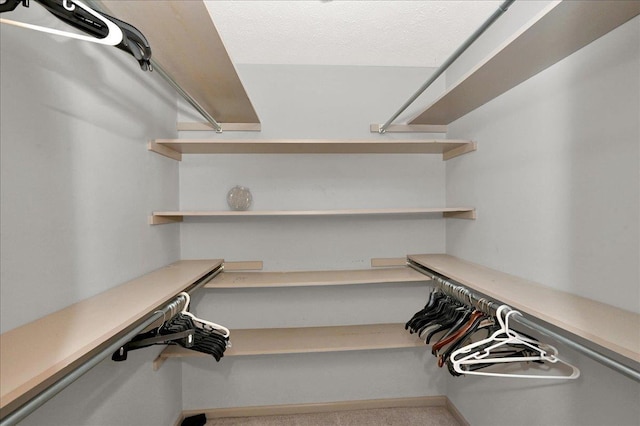 walk in closet with carpet floors