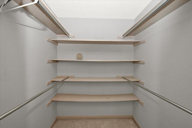 spacious closet with light colored carpet