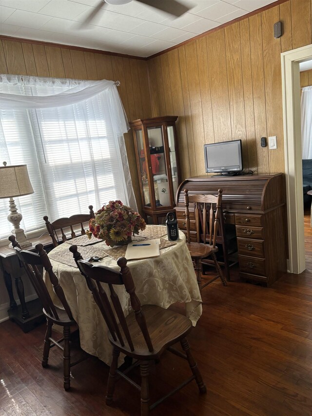 dining room with wooden walls and dark hardwood / wood-style flooring