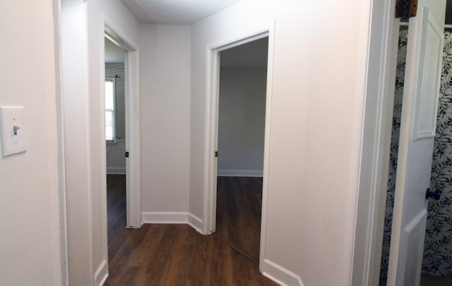 hallway featuring dark wood-type flooring