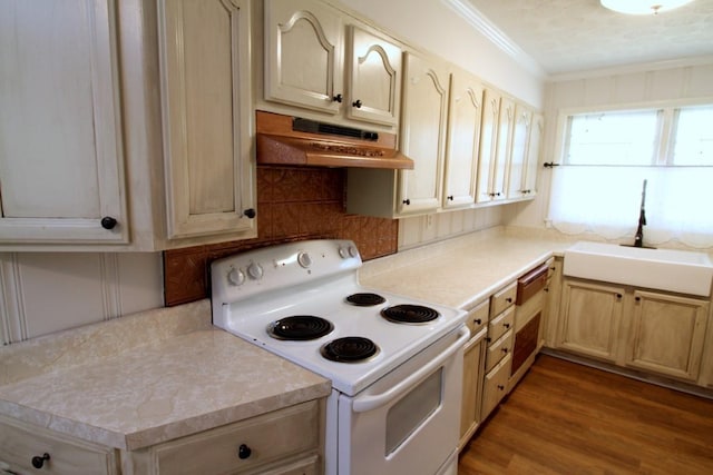 kitchen featuring sink, white electric range oven, ventilation hood, crown molding, and hardwood / wood-style flooring