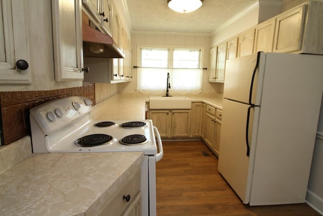 kitchen with light brown cabinets, white appliances, dark wood-type flooring, sink, and ornamental molding