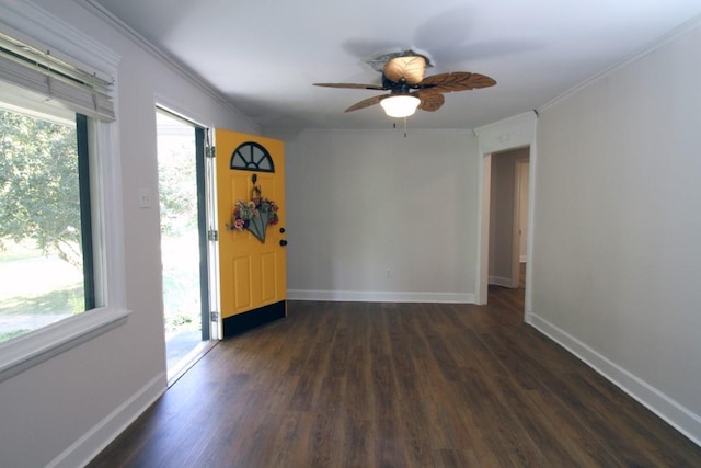 entryway with dark hardwood / wood-style floors, ceiling fan, plenty of natural light, and ornamental molding