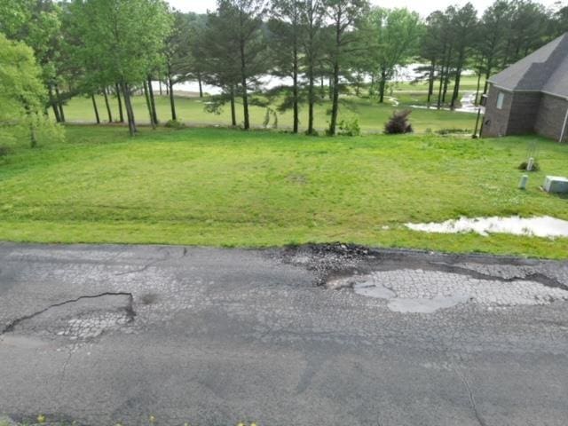  - photo 3