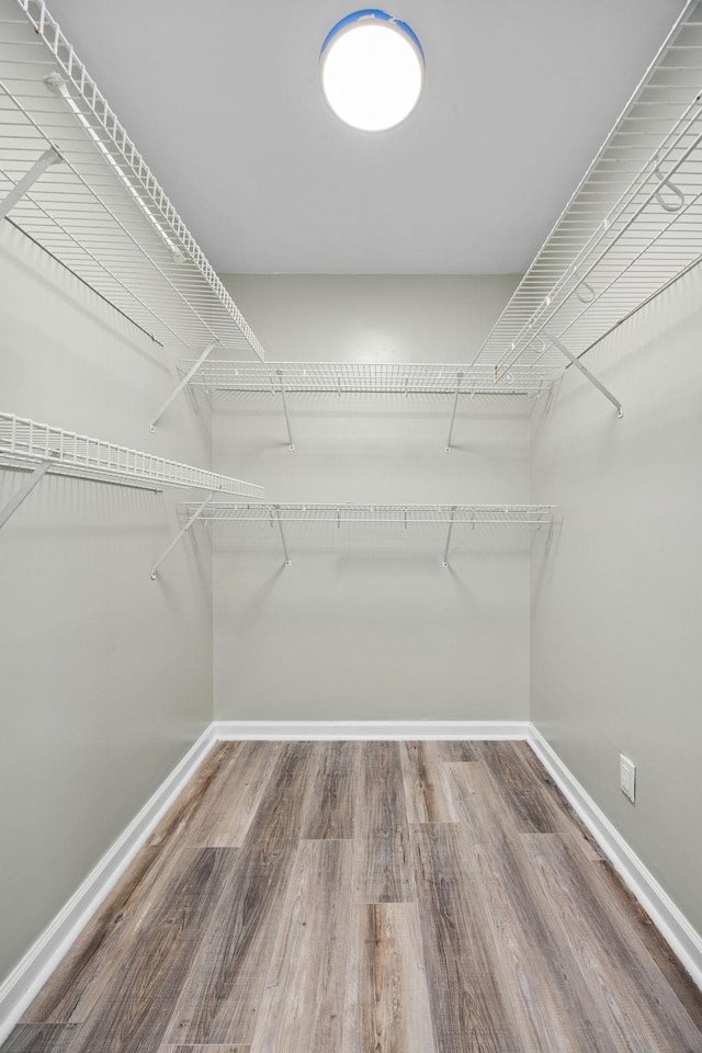 walk in closet with hardwood / wood-style flooring