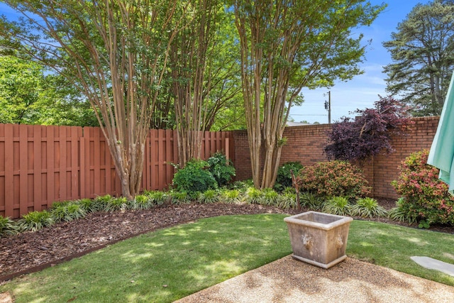  - view of yard