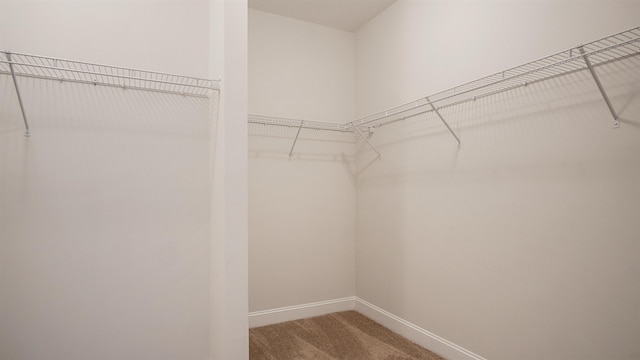  - photo 18