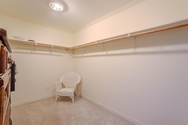 spacious closet featuring carpet flooring