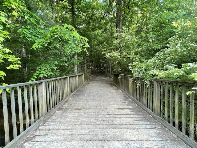  - photo 5