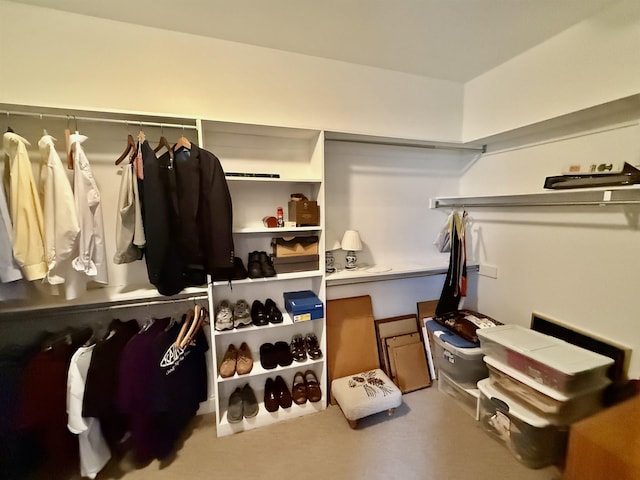 view of spacious closet