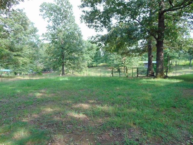 view of yard featuring a rural view