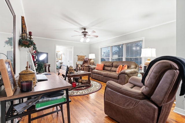 living room with ceiling fan, crown molding, and light hardwood / wood-style floors