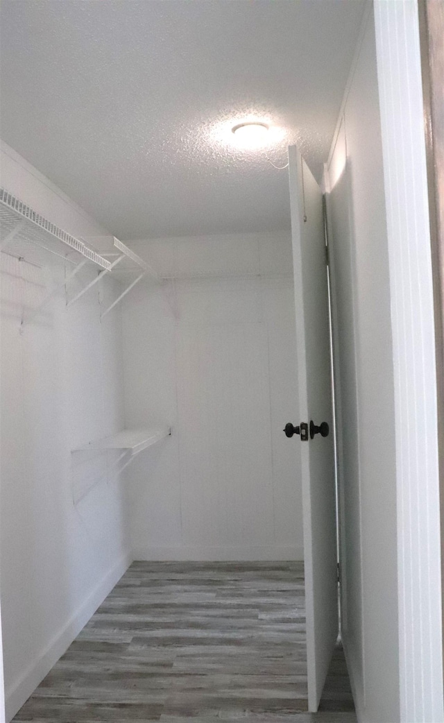  - walk in closet featuring wood finished floors
