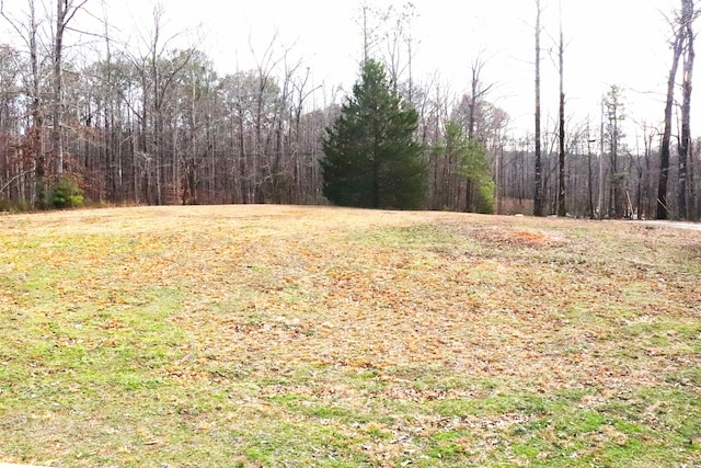  - view of yard featuring a view of trees