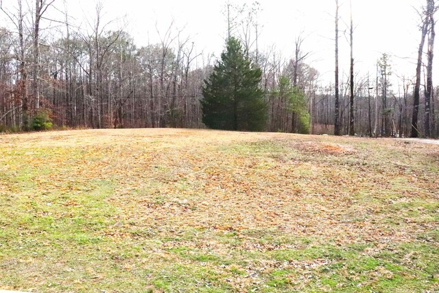  - view of yard featuring a view of trees
