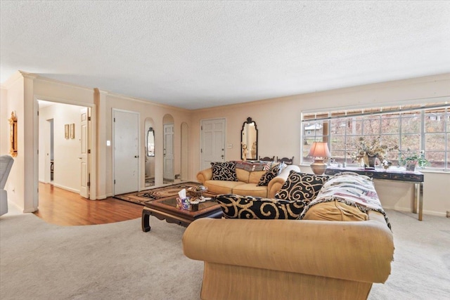 living room with a textured ceiling, light carpet, and a wealth of natural light