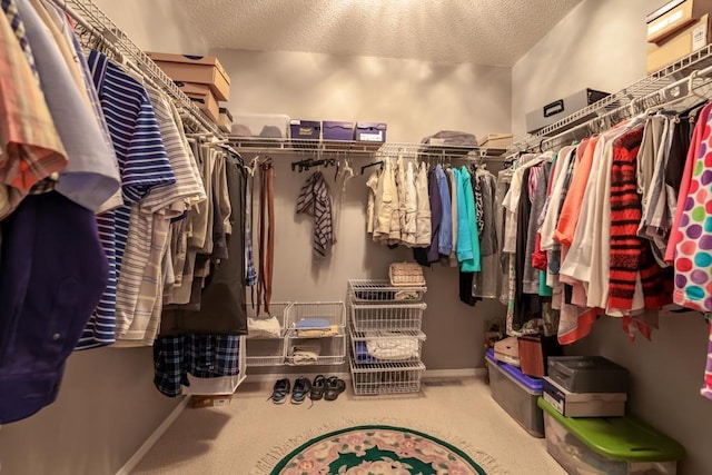 walk in closet with carpet floors