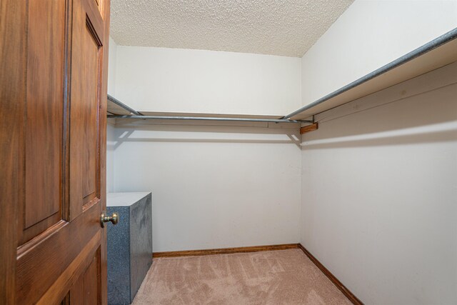  - photo 22
