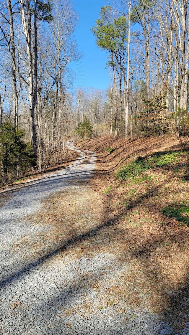 view of road