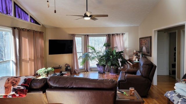 living room with hardwood / wood-style flooring, ceiling fan, a healthy amount of sunlight, and vaulted ceiling