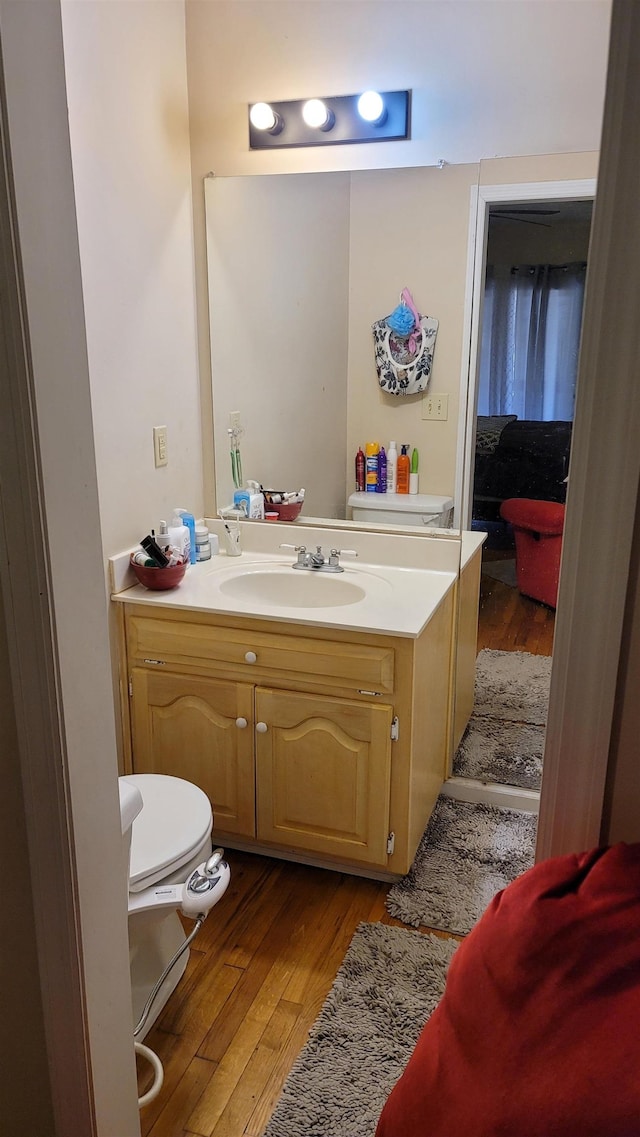 bathroom with vanity and hardwood / wood-style flooring