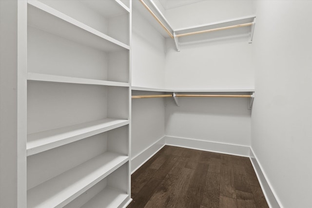 walk in closet featuring dark wood-type flooring